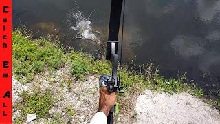 BOW FISHING Catch and COOK Slowmotion Shots [upl. by Enalda]