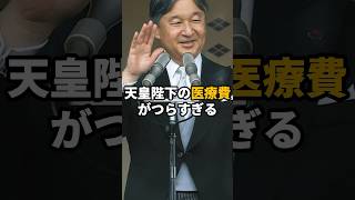 天皇陛下や雅子さま、愛子さまら皇族の医療費がつらすぎる 皇室 [upl. by Tacita]