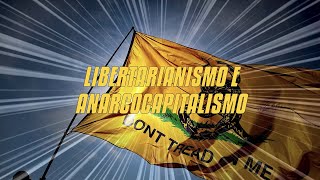 12 Libertarianismo E Anarcocapitalismo [upl. by Annadiana500]