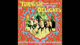 Various – Turkish Delights 26 Turkish Beat Psyche amp Garage Delights Music Album Compilation LP [upl. by Eulalee]