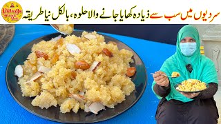 Everyones Favorite Halwa Recipe  Winter Special Halwa Recipe  Easy Recipe  Village Handi Roti [upl. by Landon678]