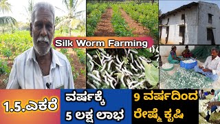 SERICULTURE FARMING IN KARNATAKA  Successful Story Silk Worm Farming ರೇಷ್ಮೆ ಕೃಷಿ ತುಂಬಲಾಭದಾಯಕಬೆಳೆ [upl. by Aenneea]