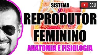 Sistema Reprodutor Feminino  Aparelho Reprodutor  Anatomia Humana  VideoAula 048 [upl. by Didier]