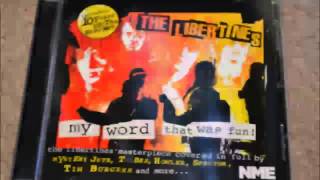 My Word That Was Fun  Libertines Up The Bracket Covers Full Album [upl. by Sonni]