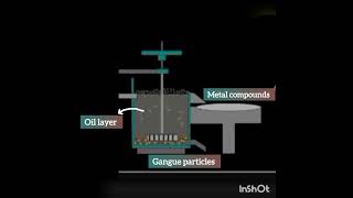 metallurgy  class10 Method of concentration of ore  Froth flotation method [upl. by Lehte711]