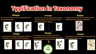 Typification in taxonomy  holotype Isotype Lectotype syntype neotype paratype  taxonomy [upl. by Phelgon]