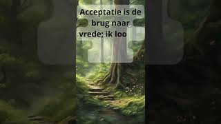 Affirmatie van de dag Acceptatie 18 Brug naar vrede [upl. by Einaffets]