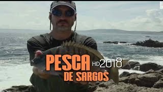 Pesca de Sargos CenÃ¡rios de Pesca Ilhas Sisargas Espanha 2018 [upl. by Kendricks]