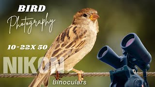 Nikon 10  22X50 Binoculars  How can you do Bird Photography with Binoculars [upl. by Mettah]