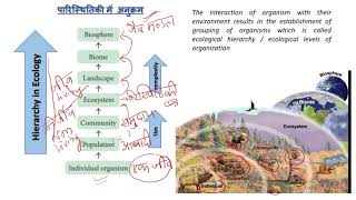 Ecology introduction and basic concepts Class 1Ecology definition Autecology synecology [upl. by Nyrak503]