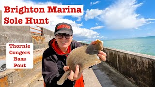 Mixed Species Fishing at Brighton Marina [upl. by Galliett]