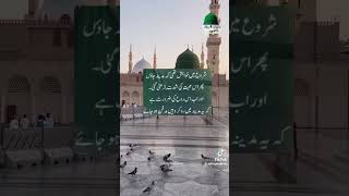 Hamy bhi madina bula mary moula [upl. by Acinorav]