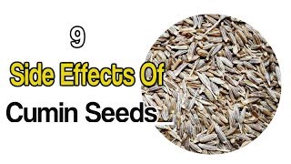 9 Side Effects Of Cumin Seeds [upl. by Chloras544]