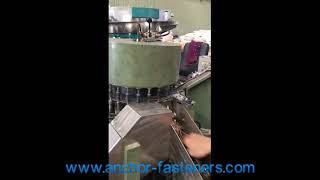 pvc washer self tapping screws automatic assembly machine [upl. by Aniteb118]