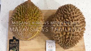 Durian Comparison Taste Test Mornthong vs Musang King [upl. by Yggep188]