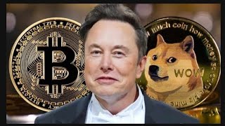 🔶 ELON MUSK FAIT GRIMPER LE PRIX DE DOGECOIN 🔶CAKE GROS BURN🔥🔶 MOONBIX NEWS 🔶 [upl. by Ellenahs]