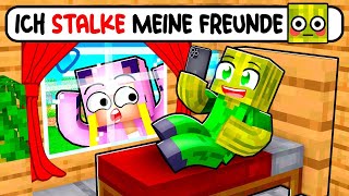 Ich STALKE meine Freunde Minecraft Freunde 2 [upl. by Bortman]