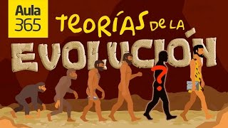 Las Teorías de la Evolución Fijismo vs transformismo  Videos Educativos Aula365 [upl. by Leen]