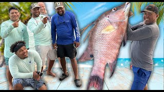 Hogfish The Best Eating Fish in the SEA Catch Clean Cook Blue Reef Island Belize [upl. by Leiahtan]