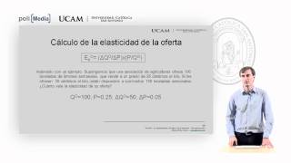 Microeconomía I  La elasticidad de la oferta y de la demanda 6  Alfonso Rosa [upl. by Adanama]