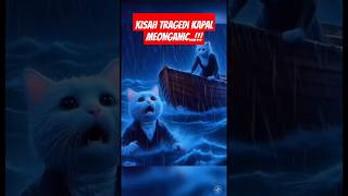 Kisah kapal meongganic shortsfeed cat kucingluculucu catlover titanic Daffinachanel [upl. by Meriel801]