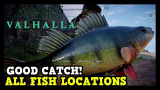 Assassins Creed Valhalla All Fish Locations Good Catch Trophy  Achievement Guide [upl. by Nierman11]