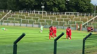 Elliott Swigert scores goal playing at Pro Club FSV Zwickau [upl. by Odelinda]