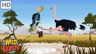 Ostriches Are Very Powerful Birds  Martin Gets Kicked by an Ostrich  Wild Kratts [upl. by Verile]