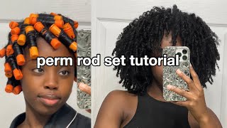 PERM ROD SET ON MY THICK NATURAL HAIR  ✨ type 4 hair [upl. by Rosemari]