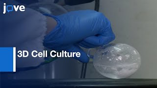 Preparation ChitosanBased Injectable Hydrogels amp Application3D Cell Culture l Protocol Preview [upl. by Wil]