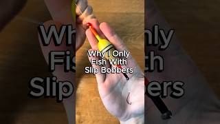 Why I only fish with slip bobbers fishing walleye crappie crappiefishing panfish [upl. by Wier349]