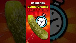 Comment SPEEDRUN des CORNICHONS  ⏱️ [upl. by Aldric]