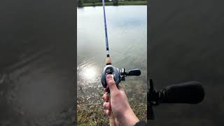 Shimano chronarch fishing fishingreel [upl. by Mullen]