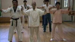 Master Ji  80 year old Qi Gong master from China  1986 [upl. by Natty]