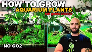 DONT START A PLANTED TANK WITHOUT WATCHING THIS Everything I Have Learnt in 6 Years [upl. by Kila]