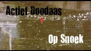 HLpredatorTEAM  Actief Doodaas Vissen Op Snoek [upl. by Akimrej]