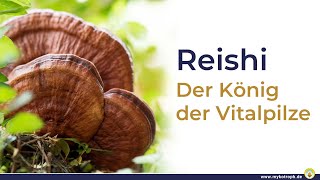 Reishi – Der König der Vitalpilze hilft gegen entzündlichen Erkrankungen bei Schlafstörungen uvm [upl. by Etnahc42]