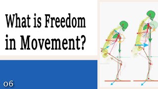 06 What is Freedom in Movement  Learning to Control Your Torso [upl. by Millar]