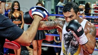 Vitor Belfort • POUNDS THE PADS  FULL MEDIA WORKOUT  vs Evander Holyfied [upl. by Reywas]