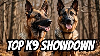 Belgian Malinois vs GERMAN SHEPHERD Which Super Dog is Best [upl. by Christine]