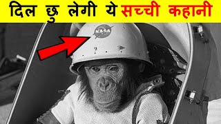 क्या हुआ जब NASA ने एक चिम्पांजी को अन्तरिक्ष मे भेज दिया  The sad story of HAM Chimpanzee [upl. by Gaal]