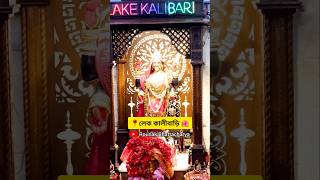 লেক কালীবাড়িতে কালীপুজো🌺❤️ জয় মা কালী 🌺❤️ kalimaa kalipuja lakekalibari kalibari shortsvideo [upl. by Genesa]