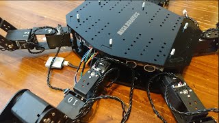 How a SixLegged Robot Walk  with LX16A Servo Motor and RaspberryPI [upl. by Yesnel]