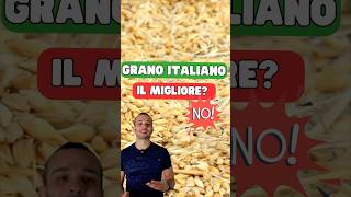 Grano italiano NON è il migliore pizza grano farina [upl. by Tnias408]