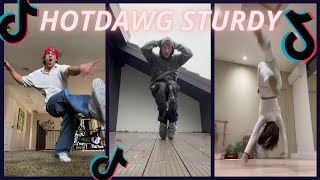 HOTDAWG STURDY 〰 new tiktok dance 💜🎵 [upl. by Eornom659]