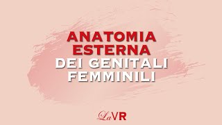 La Valigia Rossa presenta Lanatomia esterna dei genitali femminili [upl. by Ahsaeit403]