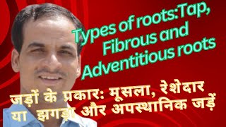 Types of RootsTap Fibrous amp Adventitious roots जड़ों के प्रकारमूसलारेशेदार और अपस्थानिक जड़ें [upl. by Pike]