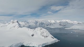 How surging demand for krill is raising concerns over Antarcticas future [upl. by Yesdnil]