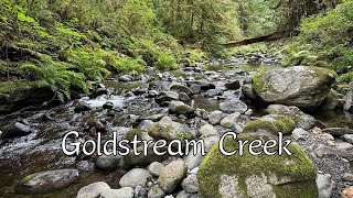 Goldstream Creek [upl. by Asha]