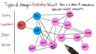 Associative network  Intro to Psychology [upl. by Alitta270]